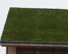 Ecogrid used for real live green roof.  
